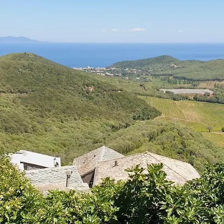 Maison De Charme Avec Terrasse Vue Sur Rogliano