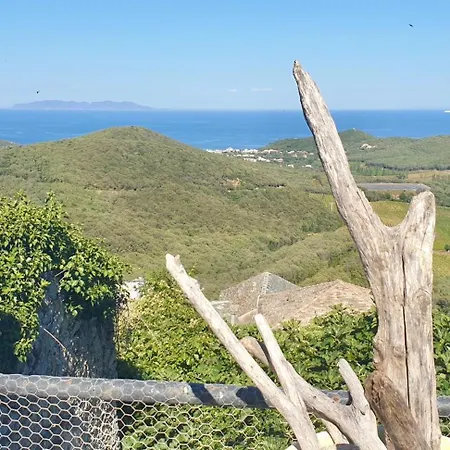 Maison De Charme Avec Terrasse Vue Sur Rogliano