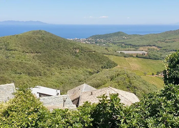 Maison De Charme Avec Terrasse Vue Sur Rogliano