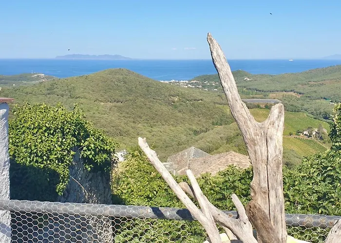 Maison De Charme Avec Terrasse Vue Sur Rogliano