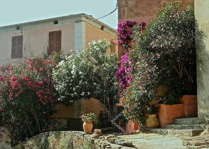 Prázdninový dům Maison De Charme Avec Terrasse Vue Sur Rogliano